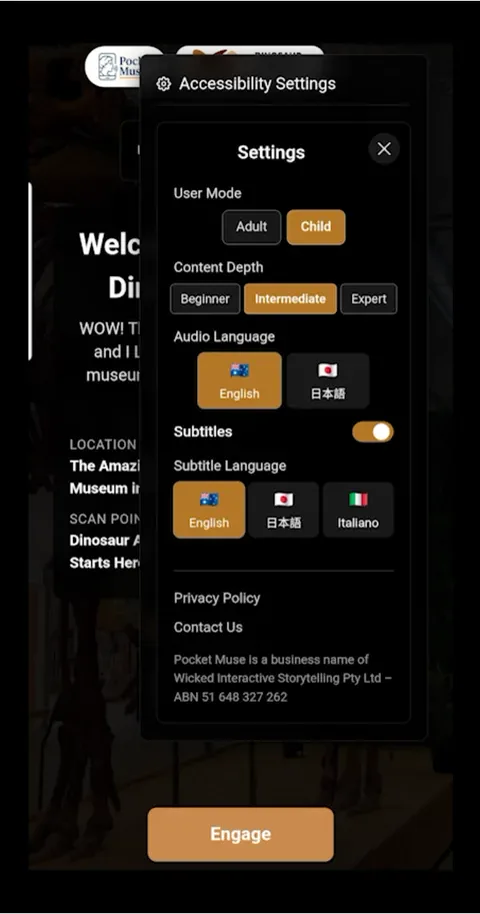 Accessibility settings screen with user mode, content depth, audio language and subtitle options.